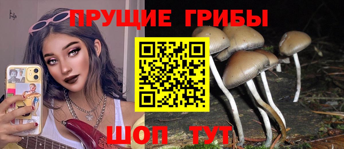 Псилоцибиновые грибы ЛСД Керчь