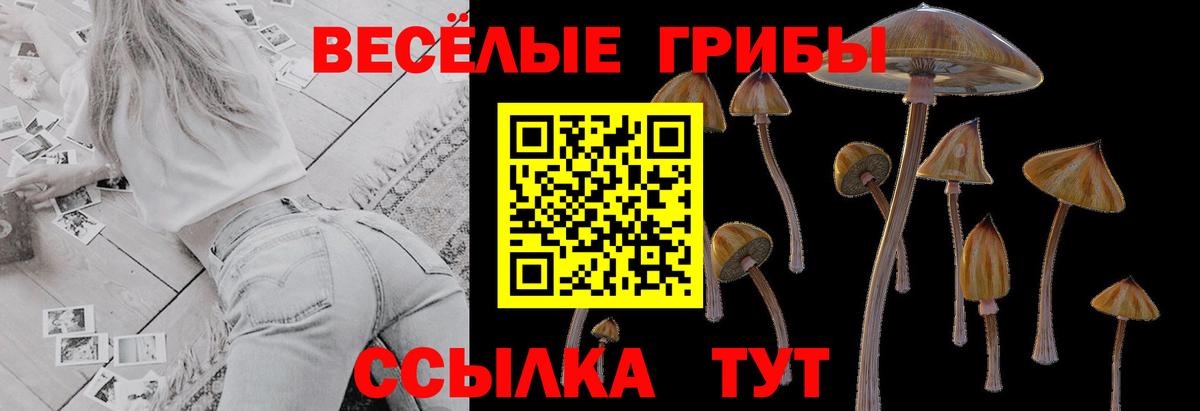 магазин  наркотиков  Вход с VPN  Керчь  Галлюциногенные грибы мицелий 